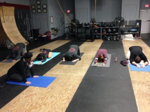 Working on yogability in New Tampa